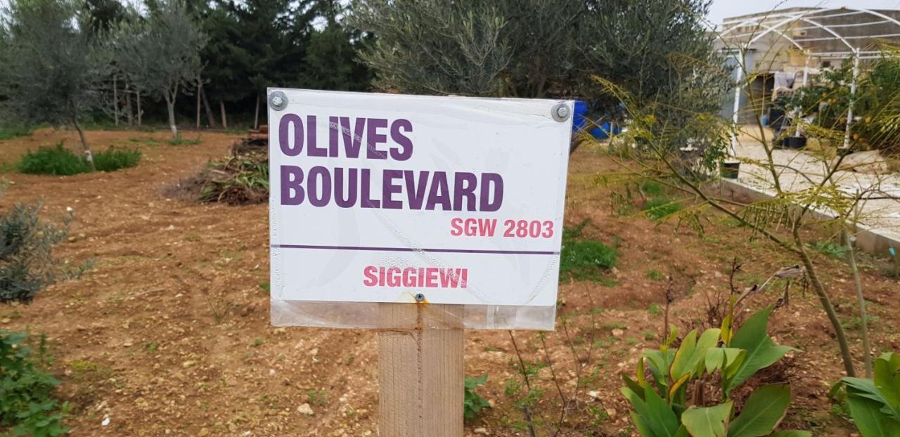 בית הארחה Siggiewi 	Auberge De Provence מראה חיצוני תמונה